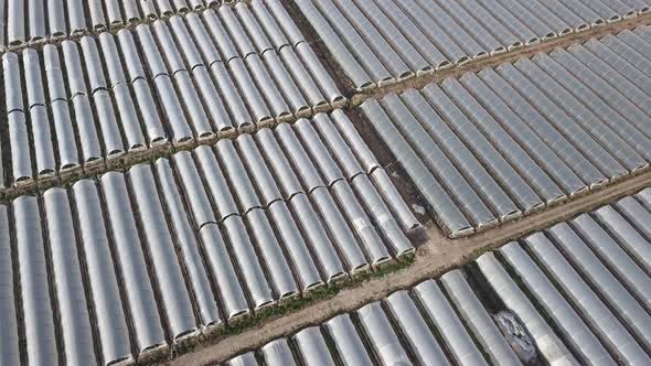 Aerial Drone Footage of Greenhouses