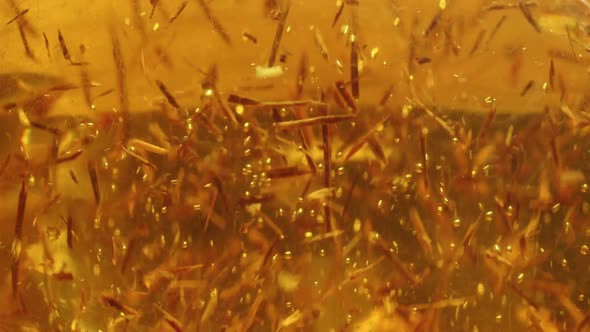 Macro Shot of Pouring Boiled Water in Tea Leaves in Glass Cup alt