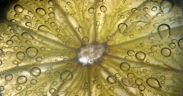 Slice of Green Lemon, citrus aurantifolia, in a Glass, Real Time 4K alt