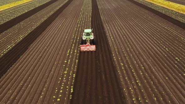 Tractor Cultivates the Land in the Field. alt