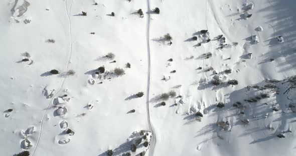 Forward Overhead Vertical Aerial Above Snowy Land with Trees Along Trail Path alt