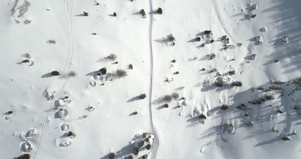 Forward Overhead Vertical Aerial Above Snowy Land with Trees Along Trail Path