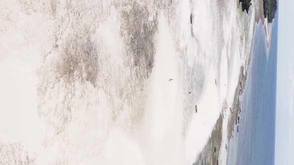 Vertical Video of Low Tide in the Ocean Near the Coast of Zanzibar Tanzania Aerial View alt