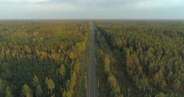 Railroad in Nature Between Wild Forest Aerial View