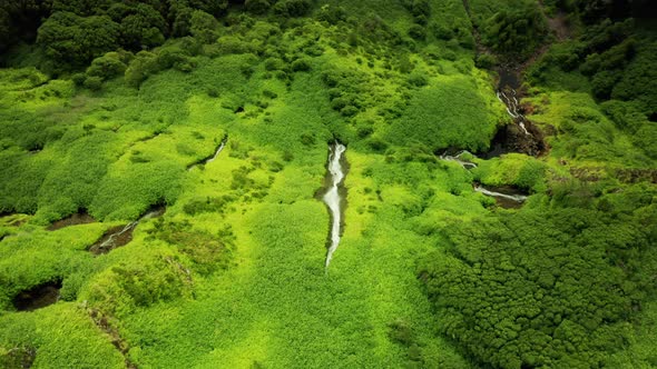 Green Waterfalls of Poco Ribeira Do Ferreiro Alagoinha Flores Island Azores alt