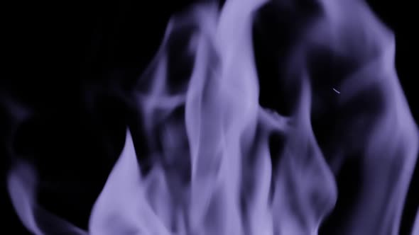 Slowmotion of Fire Line or Flames Isolated on Black Background Toned in Purple or Violet