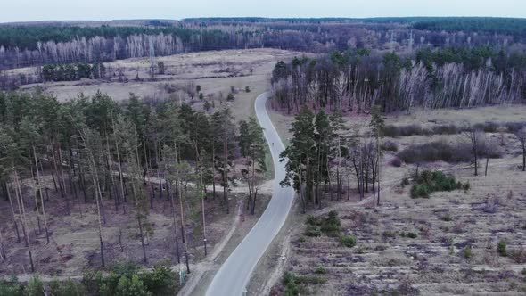 Triathlete is cycling fast on triathlon time trial bike on isolated highway in forest. alt