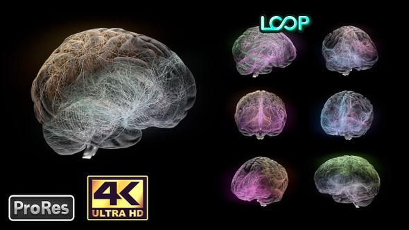 Brain Neuronal Activity - 3D - 4K