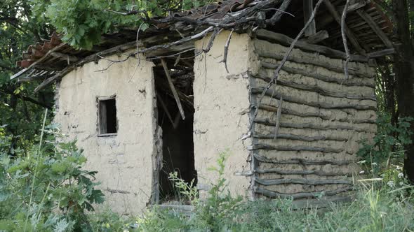 Abandoned  forest cabin hidden in the grass and shrubs 4K 2160p 30fps UHD tilting footage - House of alt