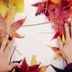 Center with colorful autumn leaves - VideoHive Item for Sale