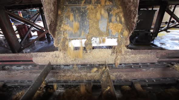 Production machine working and producing palm oil in a huge factory in Malaysia (Kilang Kelapa Sawit alt