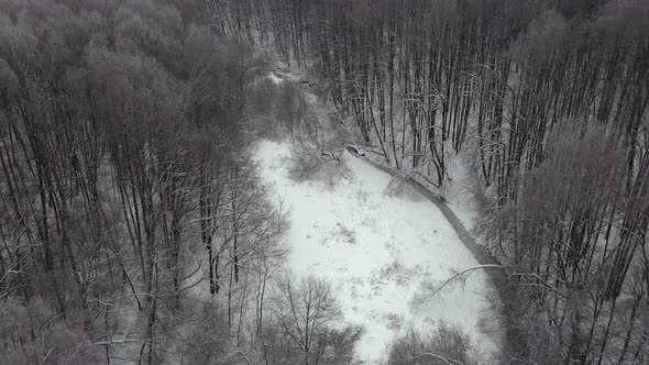 Flying in winter forest covered with fresh snow and small forest river.