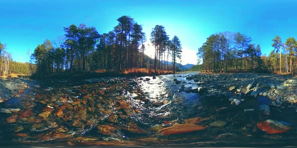 360 VR Virtual Reality of a Wild Mountains Pine Forest and River Flows alt
