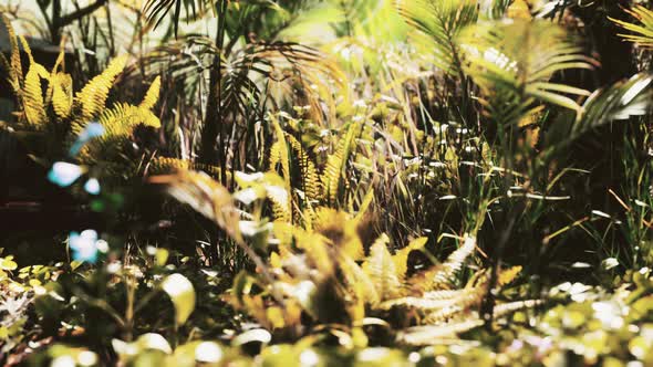 Close Up Jungle Grass and Plants alt