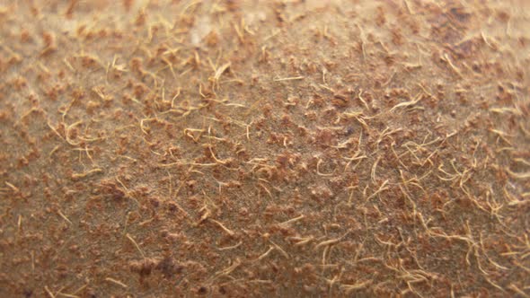 Macro Shot of Kiwifruit. Thin, Hair-like, Light Brown Skin alt