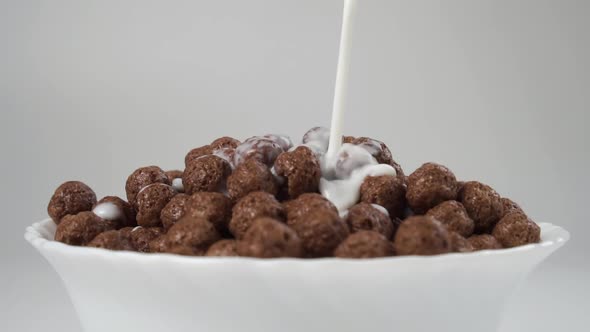 Pouring milk into the cereal bowl. Bowl of chocolate cereals and