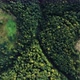 Aerial top view of Green Trees Forest. Drone flying Over the Tops of Pine forest. - VideoHive Item for Sale