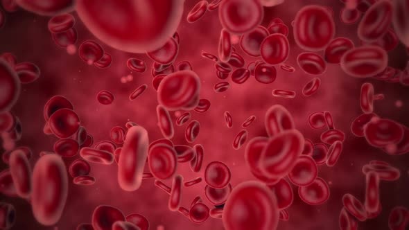 Active Blood Cells