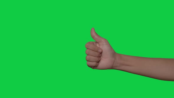 Woman hands making gestures, perfect, peace, fist, zoom in, on chroma key green screen background.