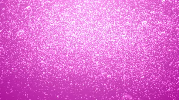 Extra Pink Soda Bubbles Background with Loop