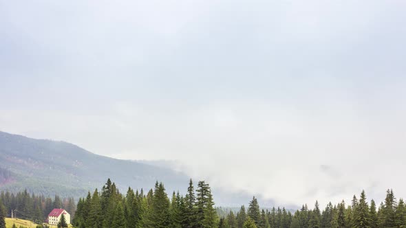 Morning Mist Over the Valley Among the Mountains in the Sunlight. Fog and Beautiful Nature of