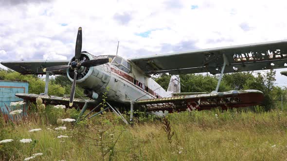 Destroyed And Abandoned Plane Standing in Thick Grass of Overgrown Field