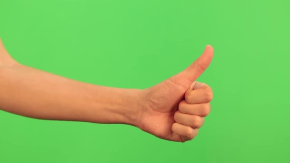 Thumb Up, OK, Good Sign, Gesture PACK Chroma Key. Woman Hand Closeup Isolated on Green Screen alt
