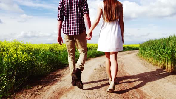 Romantic couple holding hands while walking in field alt