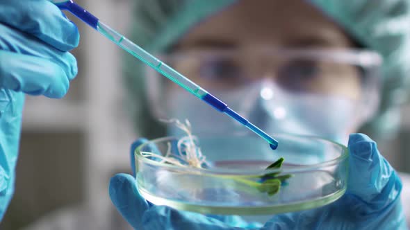 Growing Organic Food In The Laboratory By Chemical Means. A Drop Of Liquid Falls On The Object alt