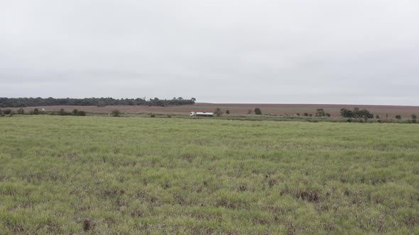 Sugar cane plantation brazil - horizontal drone filming near crops with road on the background alt