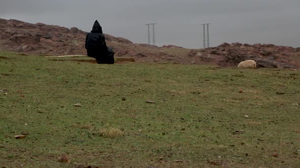 An old shepherd watching his herd alt