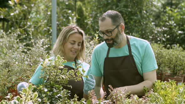 Two Happy Greenhouse Employees Discussing Houseplants alt