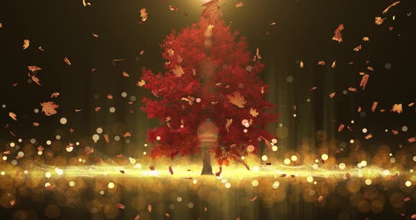 Autumn Maple Trees with Falling Leaves