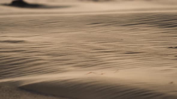 Wind blows over a sand rippled surface, carrying away sand grains. Desert area, sand storm alt