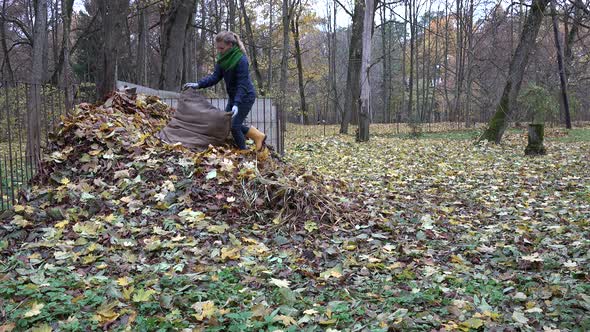 Woman Throw Autumnal Leaves Out of Bag Into Heap Compost.