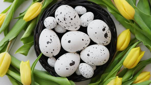 Beautiful Yellow Tulips with Dotted Quail and Chicken Eggs in Nest on White alt