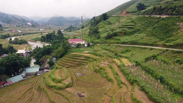 A Countryside Village with Harvested Rice Plantation Road and Lush Greenery alt