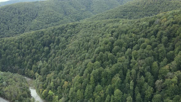 Trees in the Mountains Slow Motion. Aerial View of the Carpathian Mountains in Autumn. Ukraine alt