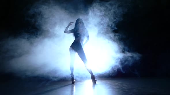 Silhouette of Pretty Stripper. Slow Motion. Smoke, Stock Footage ...