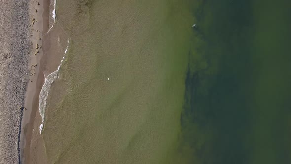 Bird's eye view flying over water and a swimming area with buoys that is next to a beach with birds alt