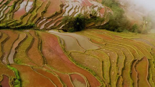 Aerial shot of the famous terraced rice fields of Yuanyang County China alt