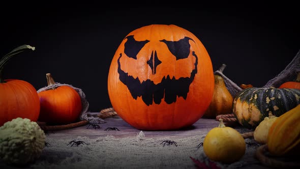 Pumpkin autumn spooky halloween scenery. Stop motion animation with jack o lantern and spiders