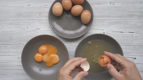 Separation of Yolk and Protein of Chicken Eggs