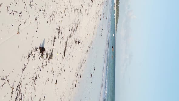 Vertical Video of the Coast of Zanzibar Island Tanzania Slow Motion alt