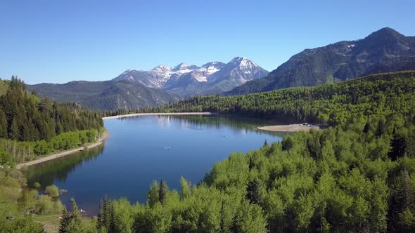 Aerial view of lake surrounded by green forest alt