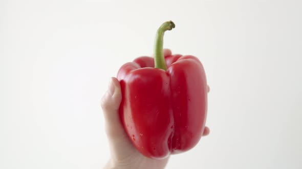 Closeup of a a Ripe Red Pepper on a White Background in Female Hand