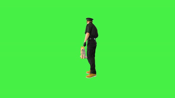 Policeman Calls His Husky Dog Pets and Hugs It on a Green Screen Chroma Key alt