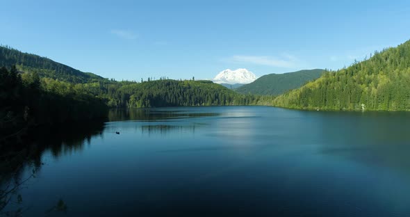 Mount Rainier View Above Lake Drone Angle Aerial Flyaway Through Trees alt