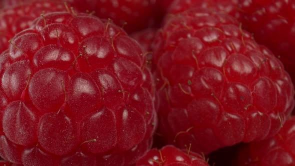 Raspberry Macro alt