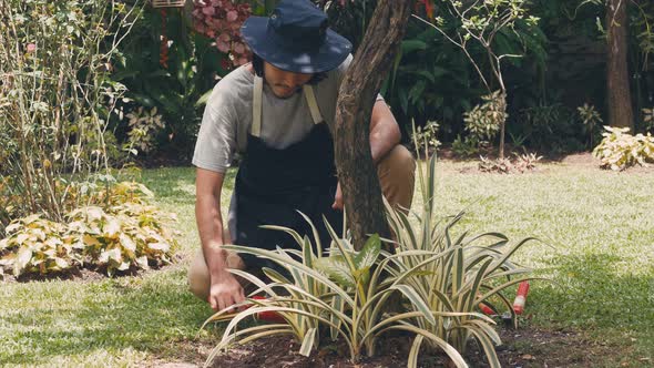 Asian man make small gardening at home.